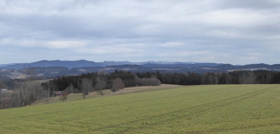 Blick auf Kaitersberg, Arber und Co.