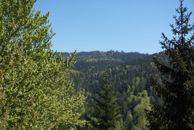 Mittagsplatz (1340 m) von der Arberhochstraße