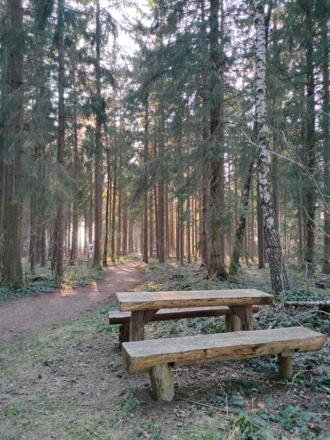 Jausenplatzl im Wald