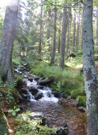 Kleine Wasserfälle am Weg