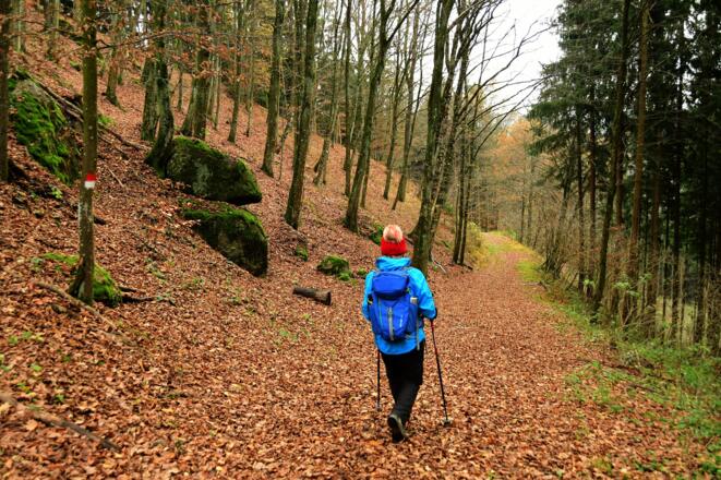 Höhenweg in Richtung Aisttal Bezirksstraße
