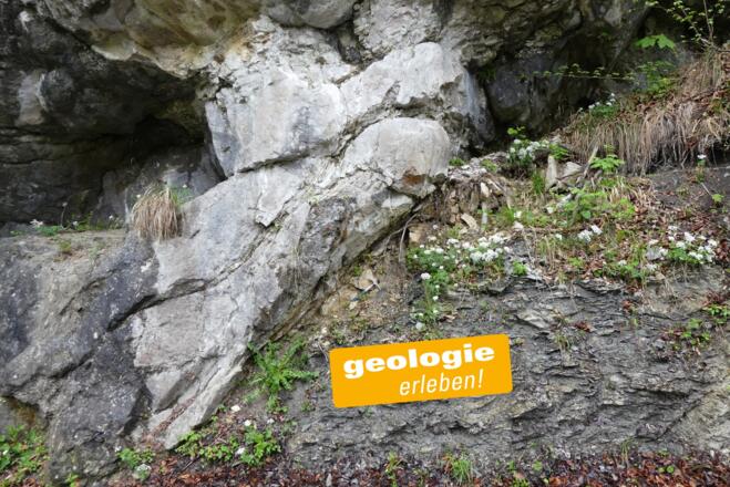 Alpiner Muschelkalk (links) - Überschiebungsbahn - Oberjura-Gesteine (rechts)