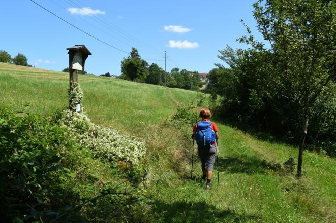 Am Naarntalweg kurz vor Windhaag