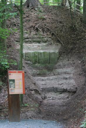 Station 10: Historischer Steinbruch (Paläoböden) - Bodenprofil