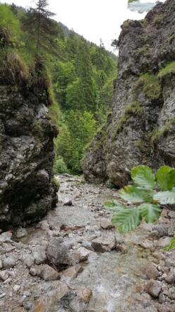 In der kleinen Schlucht 3/4