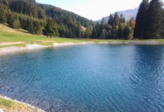 Haus Jörg    Kräutervermieter