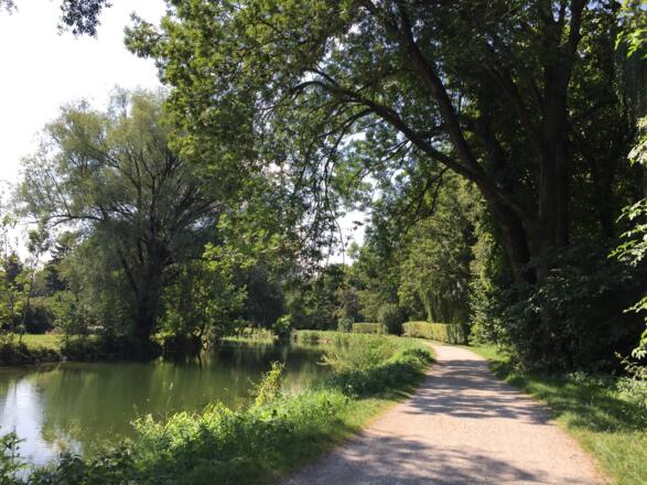 Amperradweg bei Olching