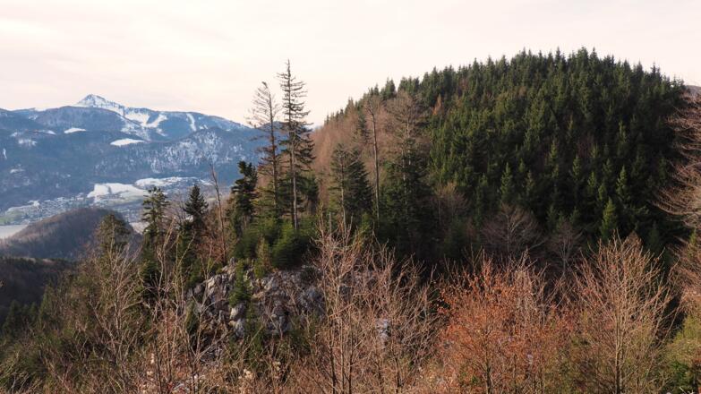 Rückblick zum Kesselkopf 928m
