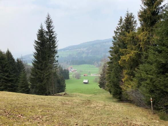 Blick nach Winsau. Im Hintergrund Farnach.