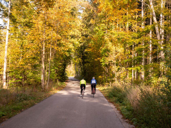 Die Straße von Otterfing nach Hofolding