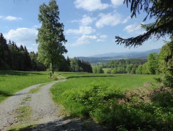 Panoramawiese bei Haunstein
