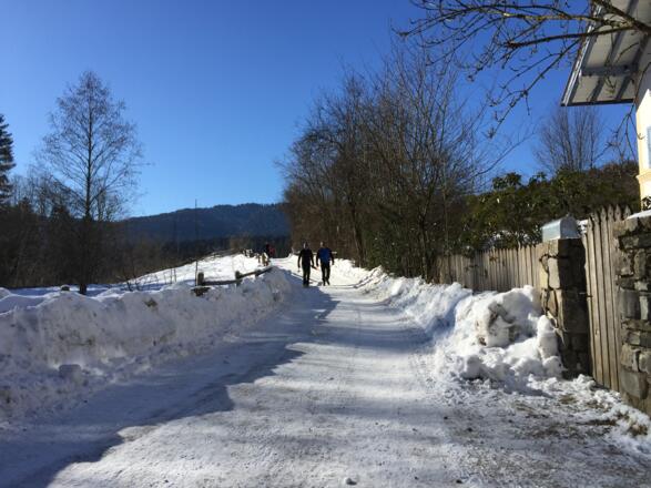 Nicht gut für Langlaufschlittenfahrer.