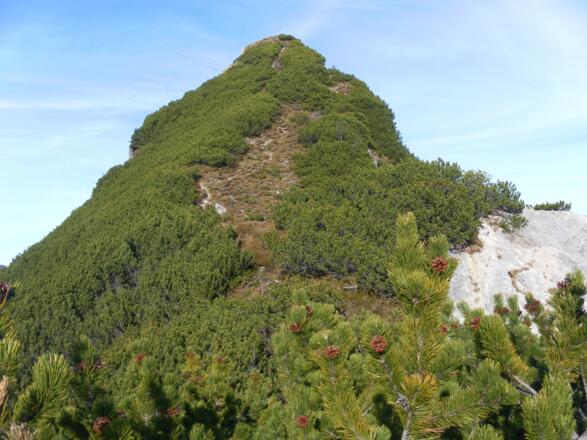 Vorgipfel, dahinter rechts der Gipfel des Aiblecks