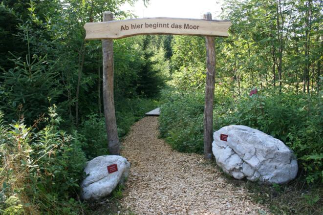 Eingang zum Moor