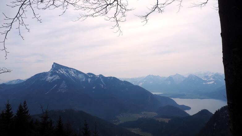 Schafberg und Wolfgangsee von ~1150m