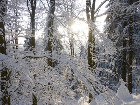 Winterzauber an der Strecke