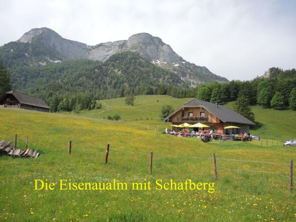 Eisenau und Schafberg in Sicht