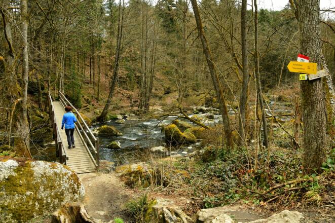 Nach der Klausmühle führt ein Steg über die Feldaist