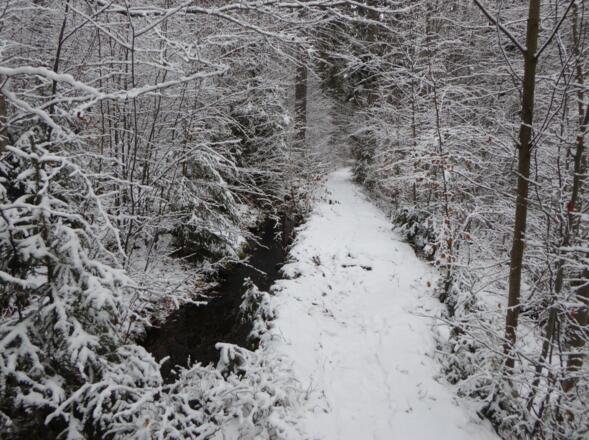 2,8 km langer Schwellgraben