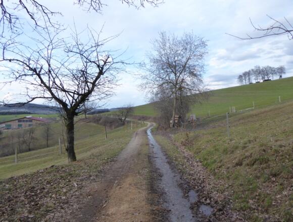 schöne Wege