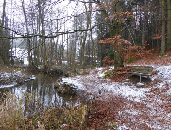 Höllbachtal - Naturschutzgebiet