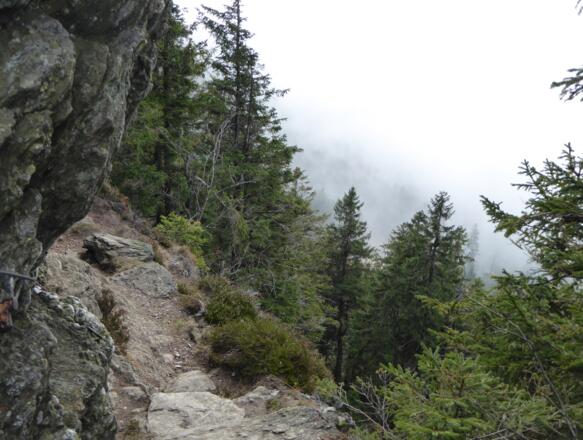 versicherter Abschnitt am Osserpfad