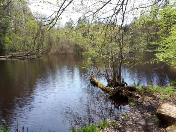 Huckinger See
