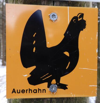 Markierung Auerhahn