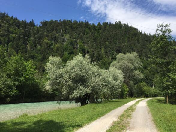 Loisach Radweg Ostseite