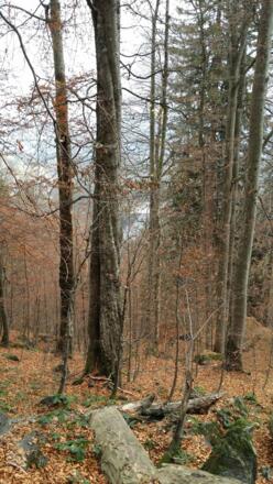 Naturbelassene Wege