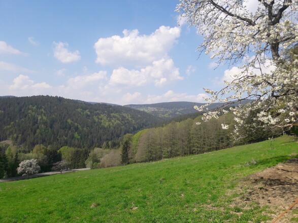 Blick von Kostenz nach Glashütt bei St. Englmar