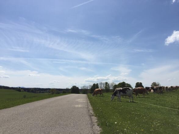 Beim Jasberg
