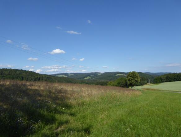Wiesenlandschaft bei Frauenzell