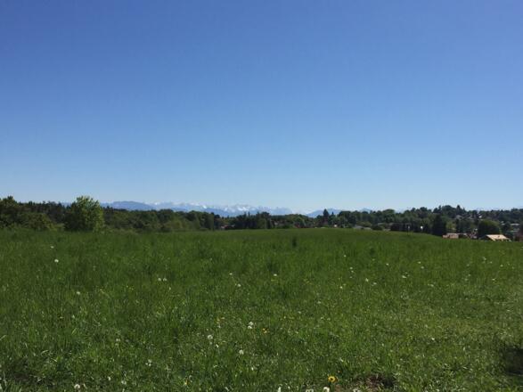 Bergblick zurück nach Hohenschäftlarn