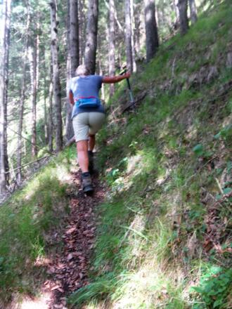 steiler Waldpfad