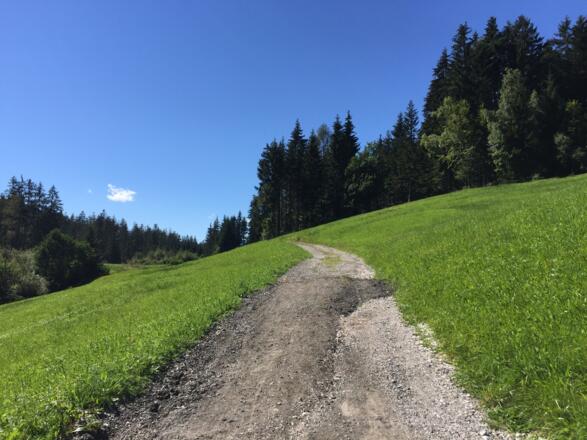 Hinterkaiserweg bei Maurer
