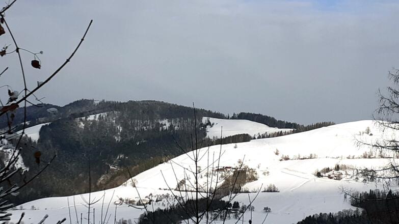 Blick zum Perneckerkogel von ca. 940 m