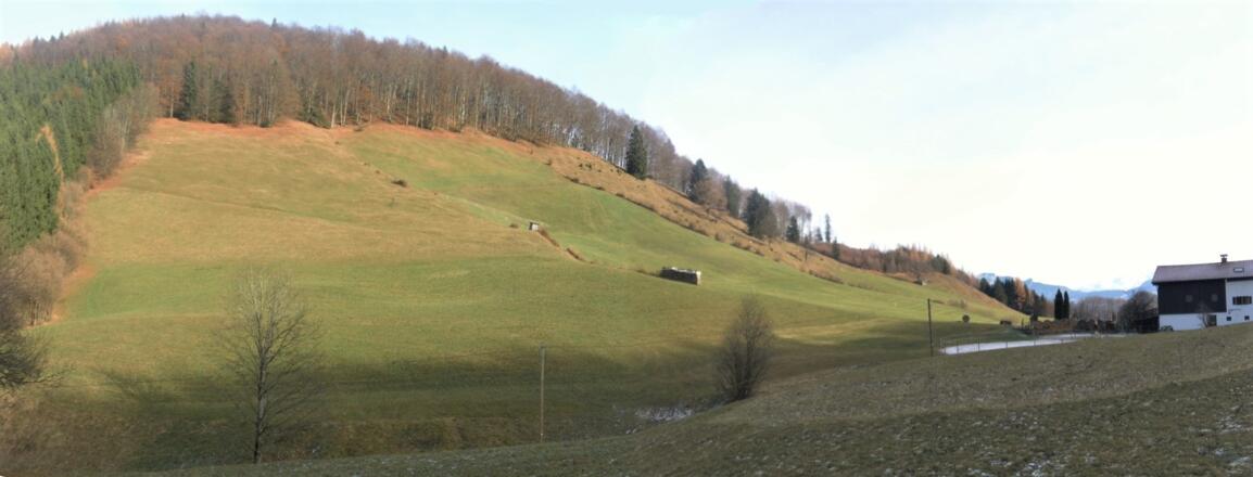 Hochzinken Westflanke