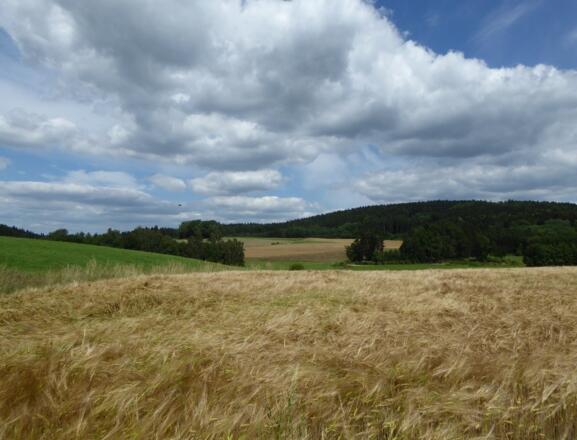 Wiesen und Felder bei Haunsbach