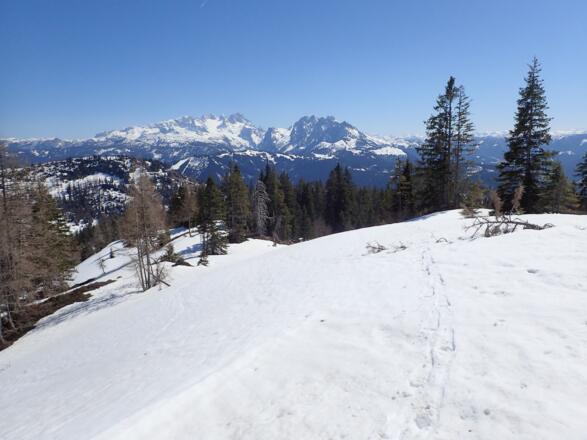 Am Südostrücken, Blick zum Dachstein und Gosaukamm