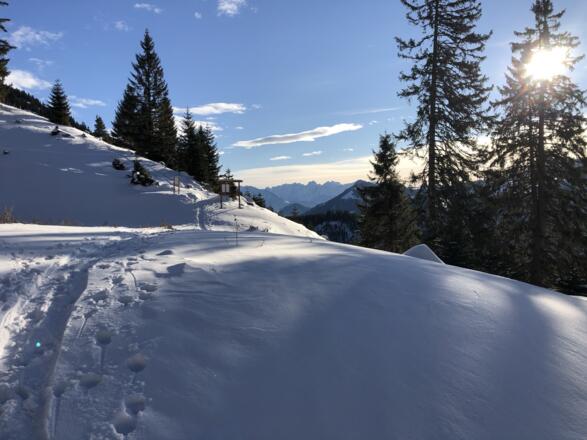 Aussicht auf den Wilden Kaiser