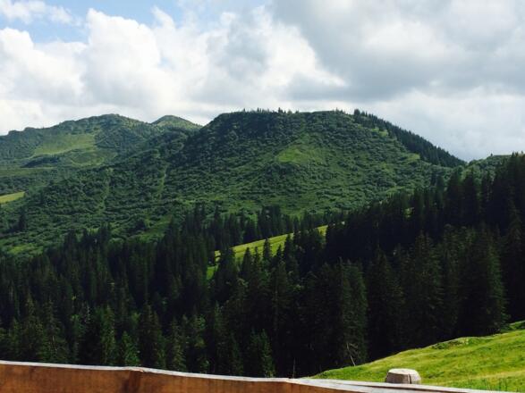 Blick von der Alpe Höllritzen zum Riedberger Horn