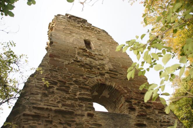 Ruine Speckfeld
