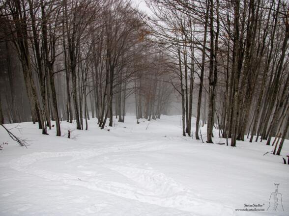 ... die zusehends enger wird.