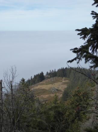 Blick auf die Osserwiese