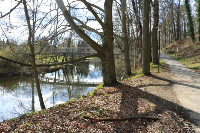 Am Saaleufer, links der Steg Richtung Innenstadt