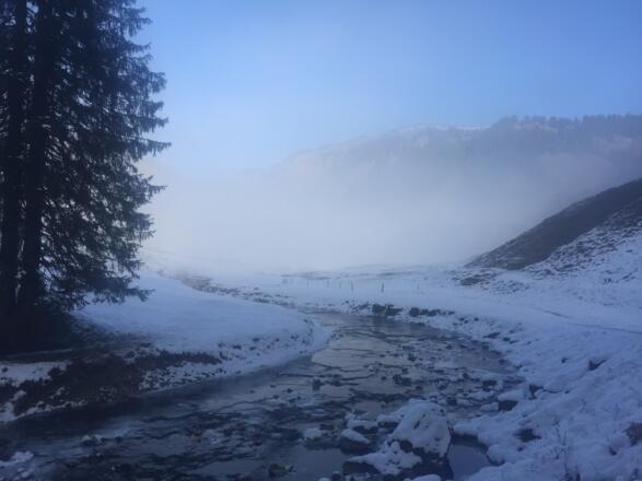 am Weg zur Vordergamitzalpe
