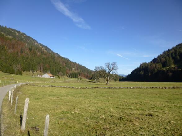 Aualpe
