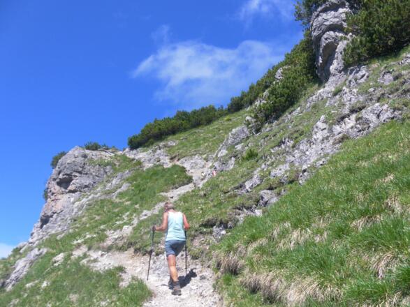 Gipfelstock des Bayerischen Schinder