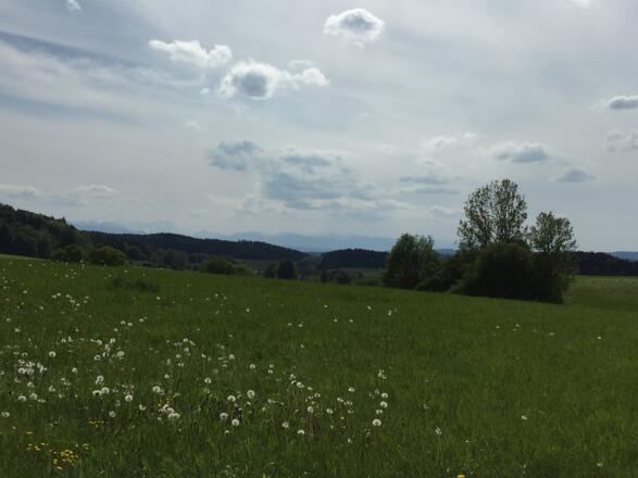 Super Aussicht
